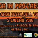 Outdoor In Progress – 2016