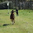 Tiro Con Arco A Cavallo: Gara