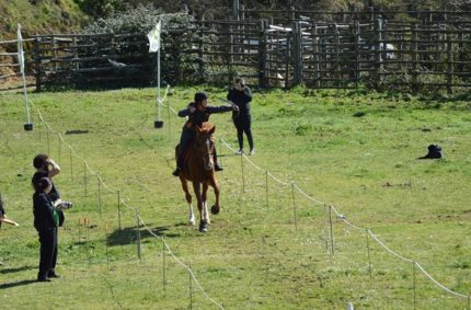Tiro Con Arco A Cavallo: Gara